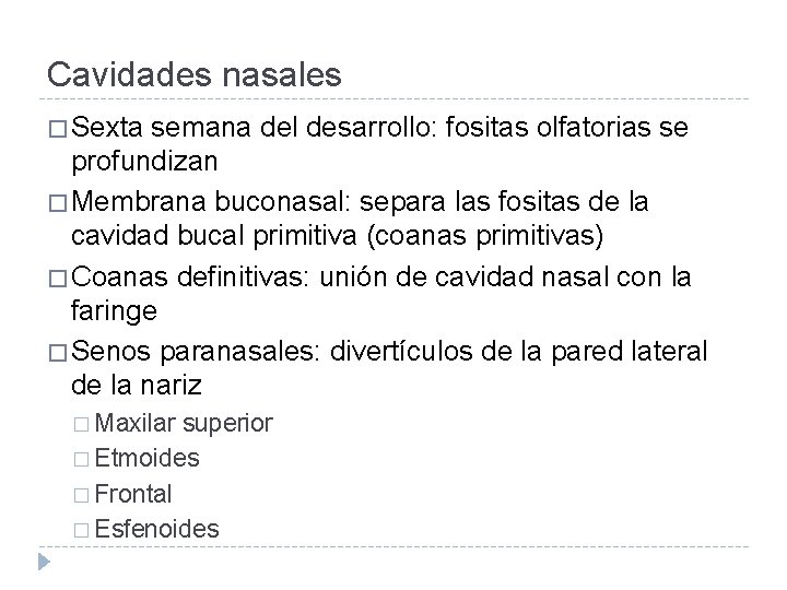 Cavidades nasales � Sexta semana del desarrollo: fositas olfatorias se profundizan � Membrana buconasal: