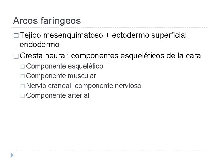Arcos faríngeos � Tejido mesenquimatoso + ectodermo superficial + endodermo � Cresta neural: componentes