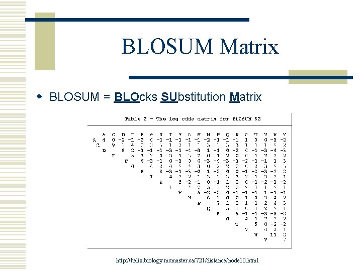 BLOSUM Matrix w BLOSUM = BLOcks SUbstitution Matrix http: //helix. biology. mcmaster. ca/721/distance/node 10.