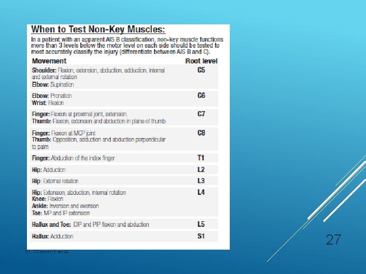 27 Dr. Shereen Fawaz 