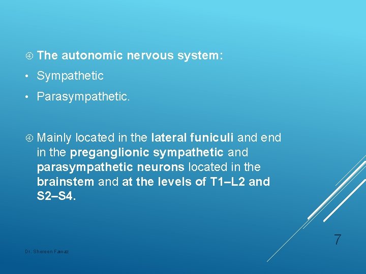 The autonomic nervous system: • Sympathetic • Parasympathetic. Mainly located in the lateral