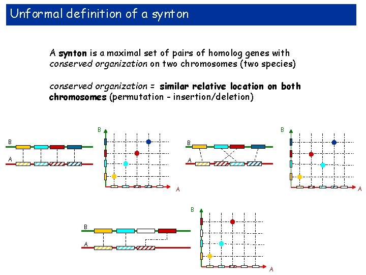 Unformal definition of a synton A synton is a maximal set of pairs of