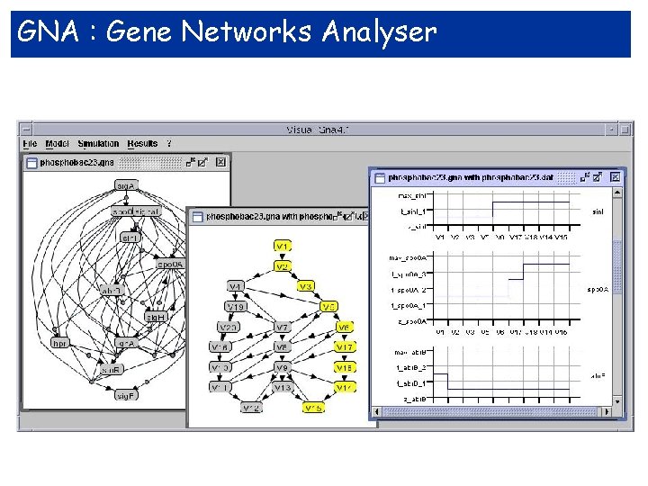 GNA : Gene Networks Analyser 