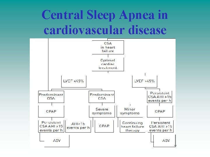 Central Sleep Apnea in cardiovascular disease Central Sleep Apnea in cardiovascular disease