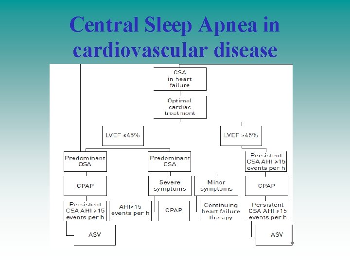 Central Sleep Apnea in cardiovascular disease 