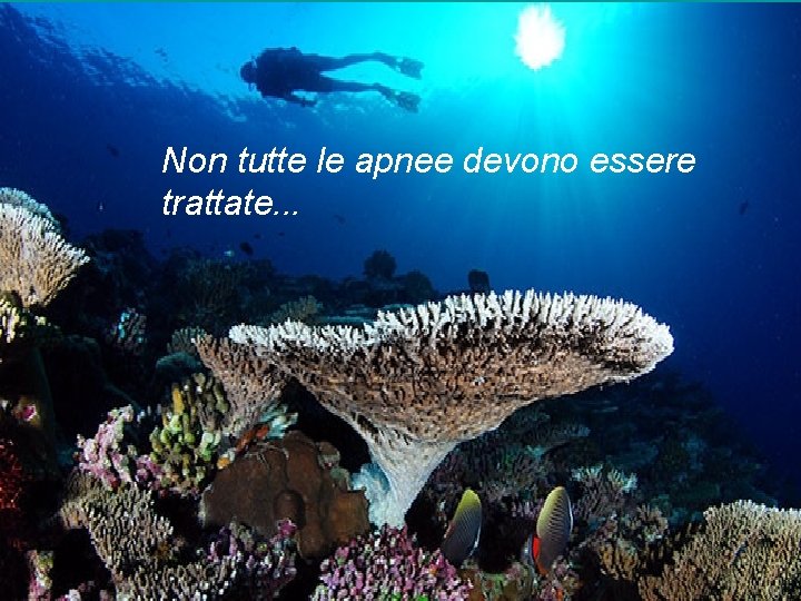 Non tutte le apnee devono essere trattate. . . Non tutte le apnee devono essere trattate. . .
