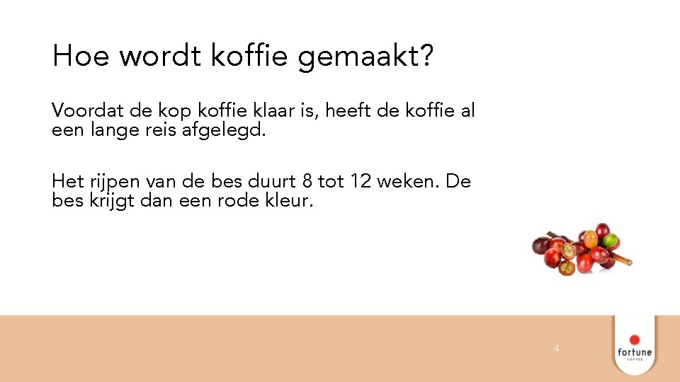 Hoe wordt koffie gemaakt? Voordat de kop koffie klaar is, heeft de koffie al