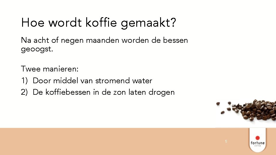 Hoe wordt koffie gemaakt? Na acht of negen maanden worden de bessen geoogst. Twee