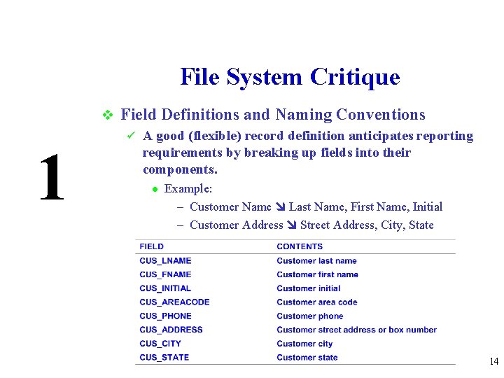 File System Critique v 1 Field Definitions and Naming Conventions ü A good (flexible)