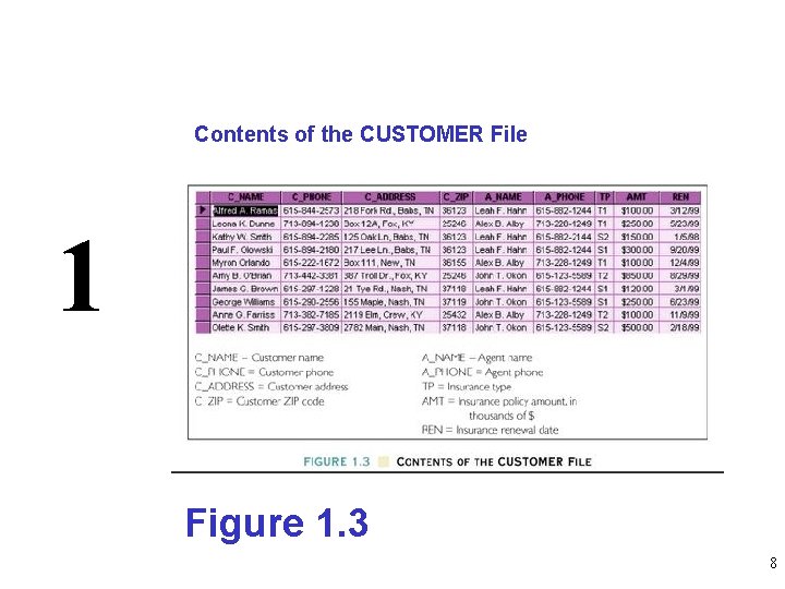 Contents of the CUSTOMER File 1 Figure 1. 3 8 