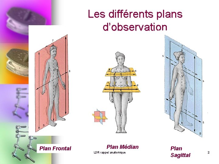 Les différents plans d’observation Plan Frontal Plan Médian LDR rappel anatomique Plan Sagittal 2