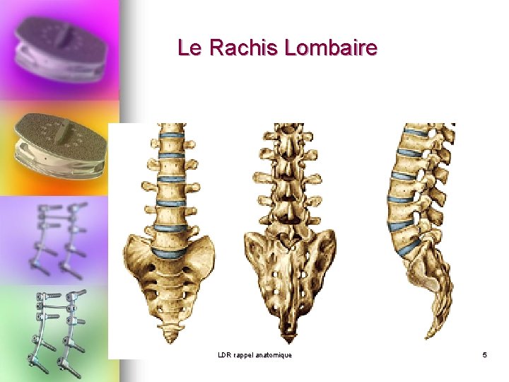 Le Rachis Lombaire LDR rappel anatomique 5 Le Rachis Lombaire LDR rappel anatomique 5
