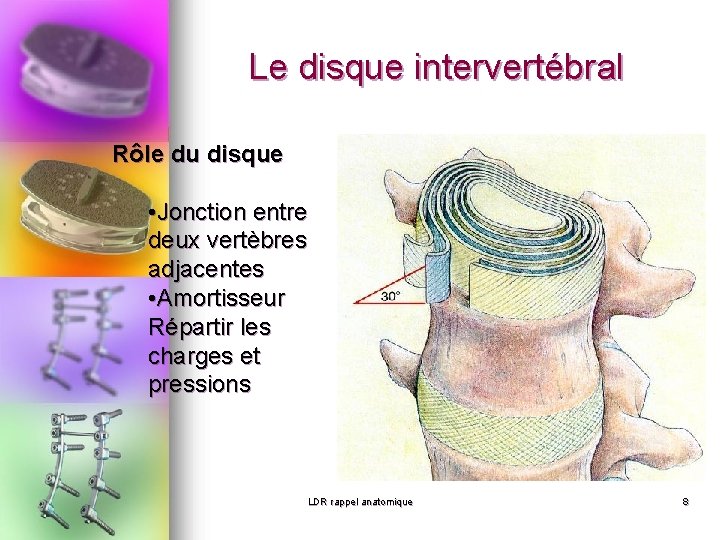 Le disque intervertébral Rôle du disque • Jonction entre deux vertèbres adjacentes • Amortisseur Le disque intervertébral Rôle du disque • Jonction entre deux vertèbres adjacentes • Amortisseur