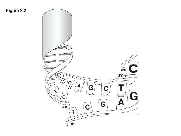 Figure 8. 3 