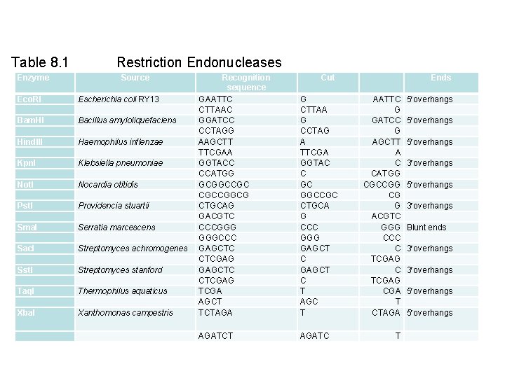 Table 8. 1 Restriction Endonucleases Enzyme Source Eco. RI Bam. HI Hind. III Kpn.