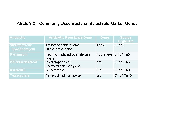 TABLE 8. 2 Commonly Used Bacterial Selectable Marker Genes Antibiotic Resistance Gene Source Organism E.