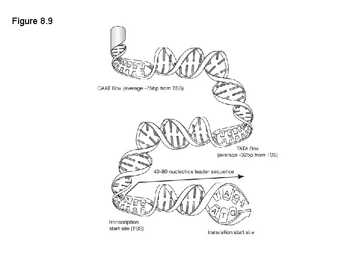 Figure 8. 9 