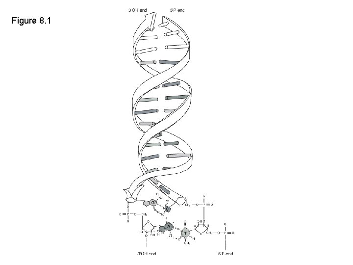 Figure 8. 1 