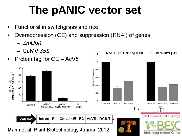 The p. ANIC vector set • Functional in switchgrass and rice • Overexpression (OE)