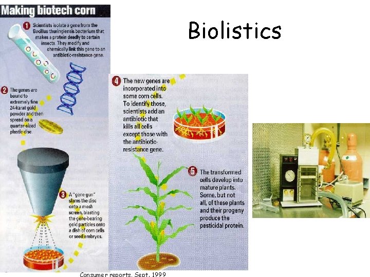 Biolistics Consumer reports, Sept. 1999 