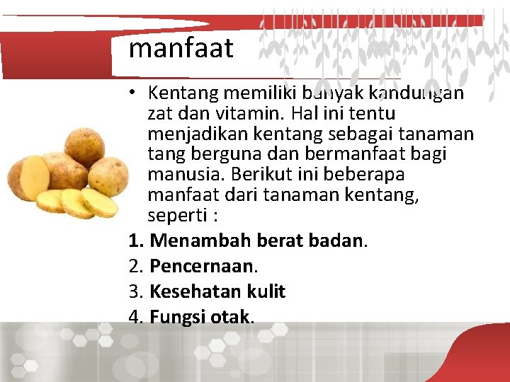  manfaat • Kentang memiliki banyak kandungan zat dan vitamin. Hal ini tentu menjadikan