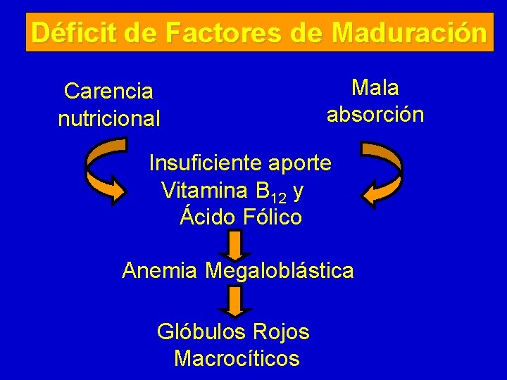 Déficit de Factores de Maduración Carencia nutricional Mala absorción Insuficiente aporte Vitamina B 12