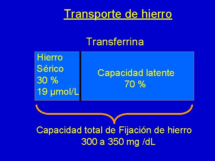 Transporte de hierro Transferrina Hierro Sérico 30 % 19 µmol/L Capacidad latente 70 %