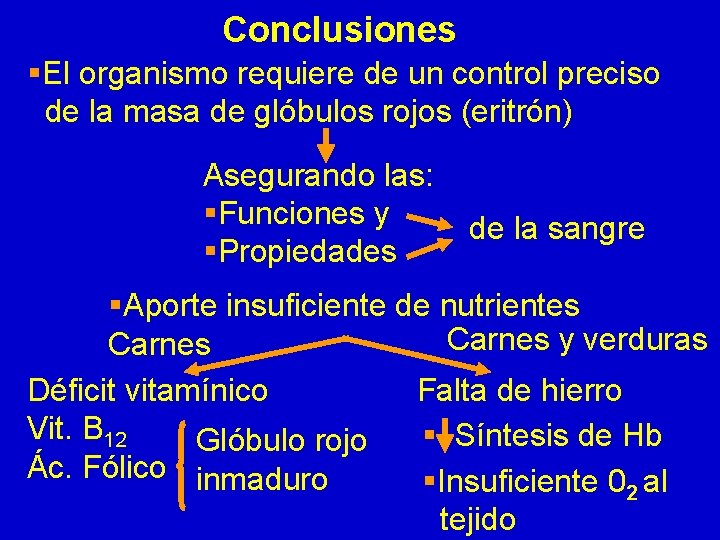 Conclusiones §El organismo requiere de un control preciso de la masa de glóbulos rojos