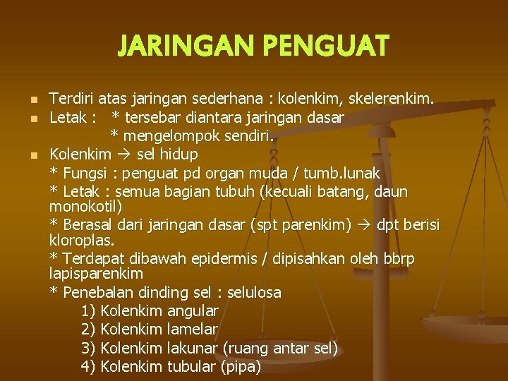 JARINGAN PENGUAT n n n Terdiri atas jaringan sederhana : kolenkim, skelerenkim. Letak :