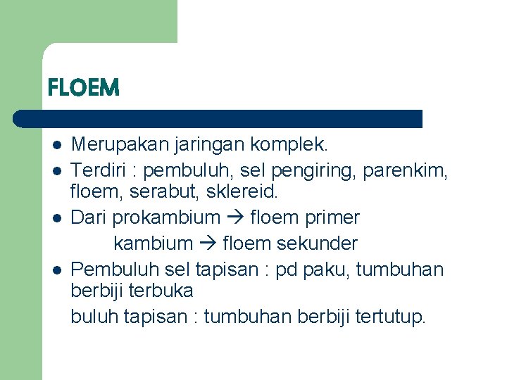 FLOEM l l Merupakan jaringan komplek. Terdiri : pembuluh, sel pengiring, parenkim, floem, serabut,