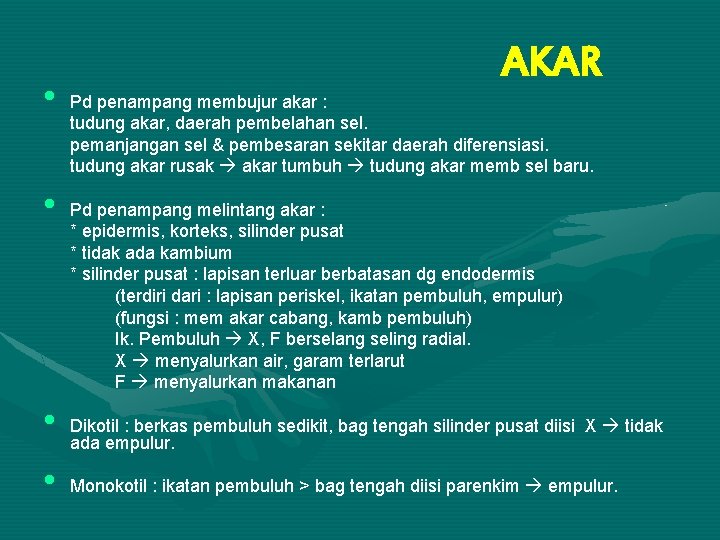  • • AKAR Pd penampang membujur akar : tudung akar, daerah pembelahan sel.