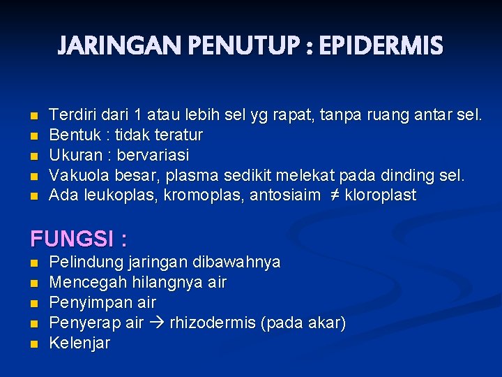 JARINGAN PENUTUP : EPIDERMIS n n n Terdiri dari 1 atau lebih sel yg