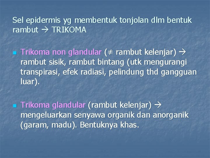 Sel epidermis yg membentuk tonjolan dlm bentuk rambut TRIKOMA n n Trikoma non glandular