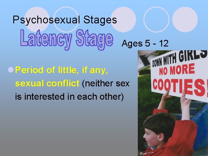 Psychosexual Stages Ages 5 - 12 l Period of little, if any, sexual conflict