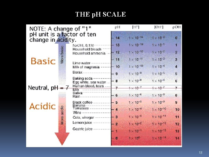 THE p. H SCALE 25 