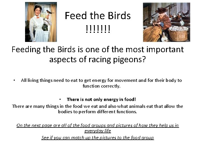 Feed the Birds !!!!!!! Feeding the Birds is one of the most important aspects