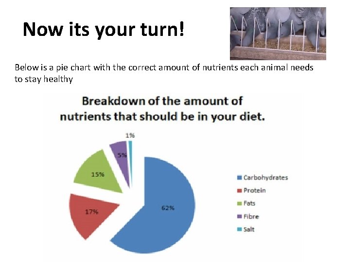 Now its your turn! Below is a pie chart with the correct amount of