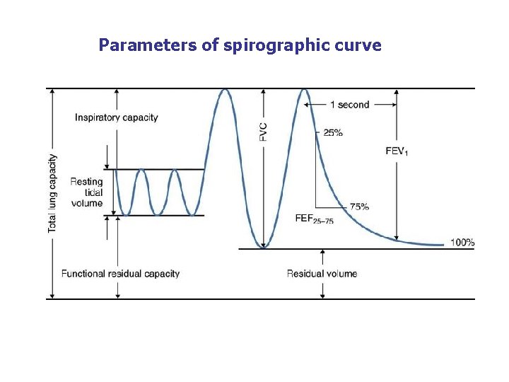 Parameters of spirographic curve 