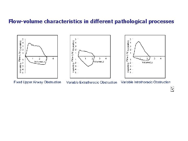 Flow-volume characteristics in different pathological processes 