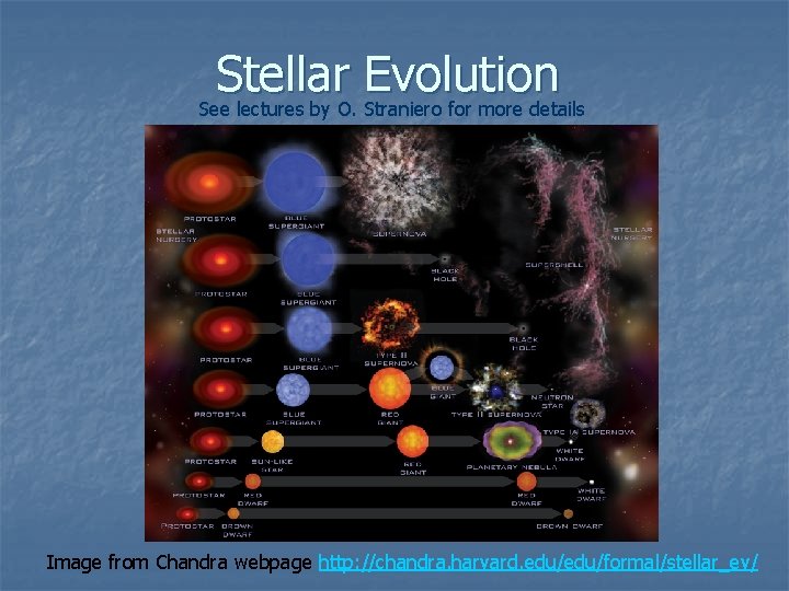 Stellar Evolution See lectures by O. Straniero for more details Image from Chandra webpage