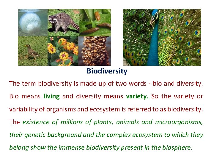 Biodiversity The term biodiversity is made up of two words - bio and diversity.