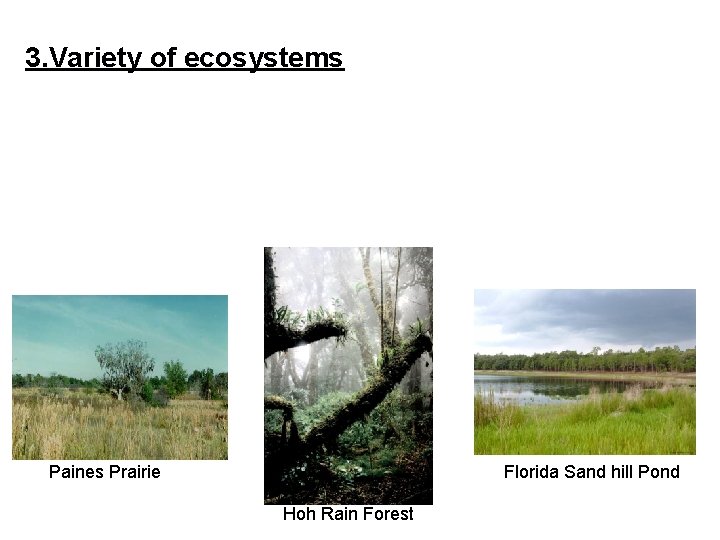 3. Variety of ecosystems Prairies, Ponds, and tropical rain forests are all ecosystems. Each