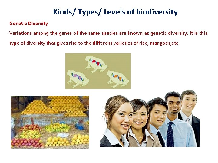 Kinds/ Types/ Levels of biodiversity Genetic Diversity Variations among the genes of the same