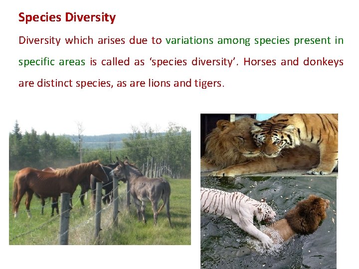 Species Diversity which arises due to variations among species present in specific areas is
