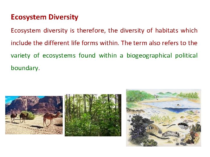 Ecosystem Diversity Ecosystem diversity is therefore, the diversity of habitats which include the different