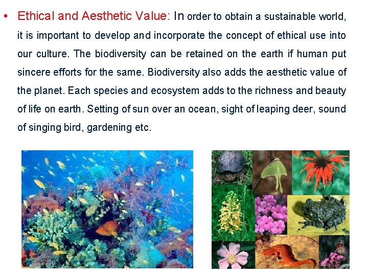  • Ethical and Aesthetic Value: In order to obtain a sustainable world, it