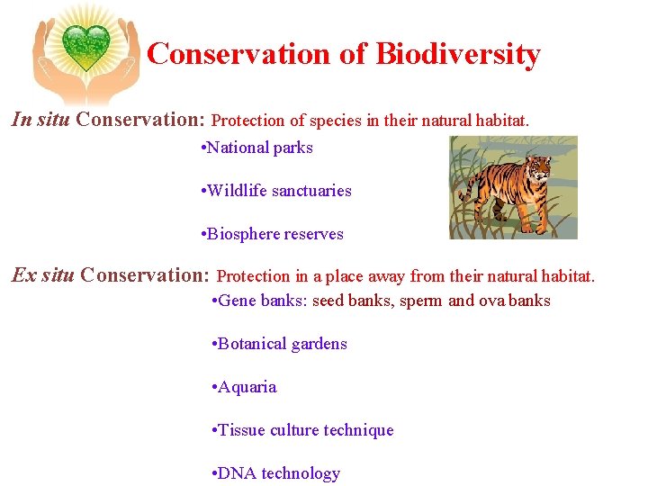 Conservation of Biodiversity In situ Conservation: Protection of species in their natural habitat. •