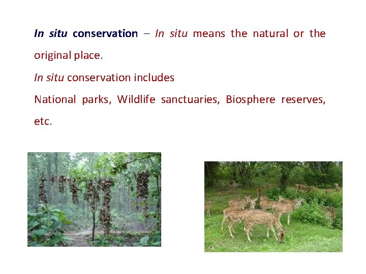 In situ conservation – In situ means the natural or the original place. In