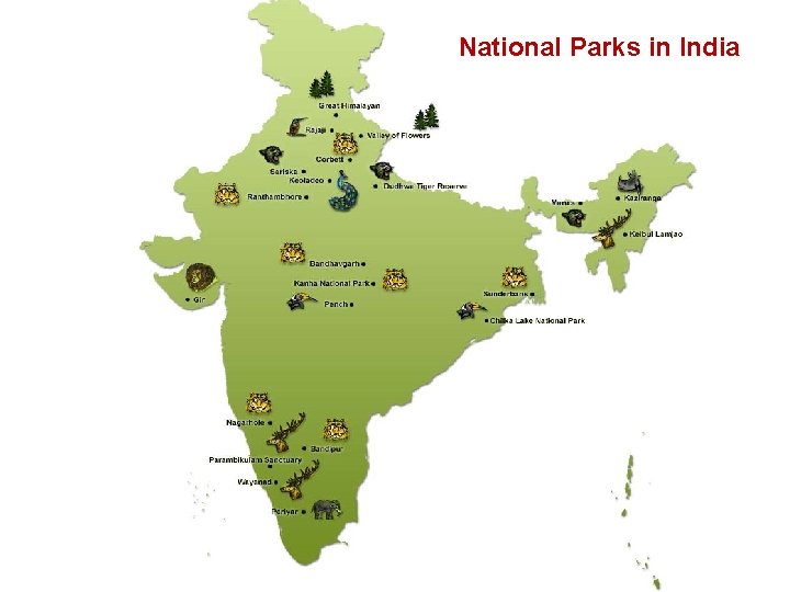 National Parks in India 