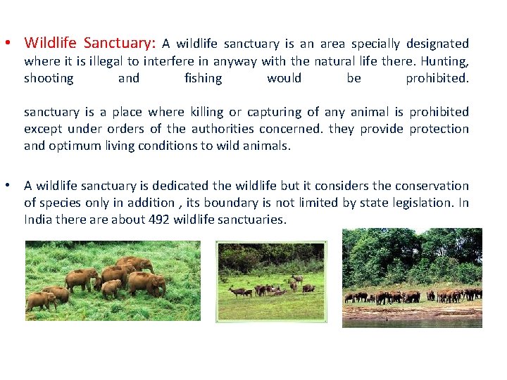  • Wildlife Sanctuary: A wildlife sanctuary is an area specially designated where it